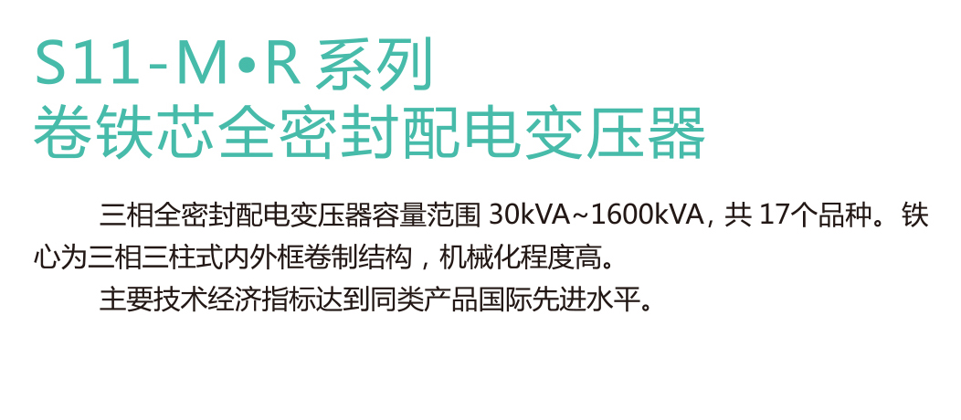 S11-M.R系列卷鉄芯全密封配电变压器(图1)